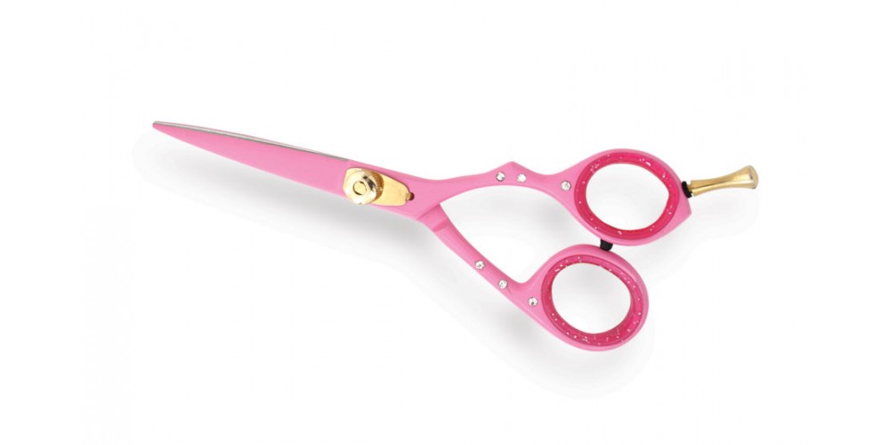 Professional Hair Cutting Scissors